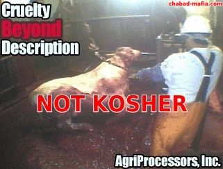 agriprocessors not kosher